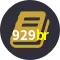 Member