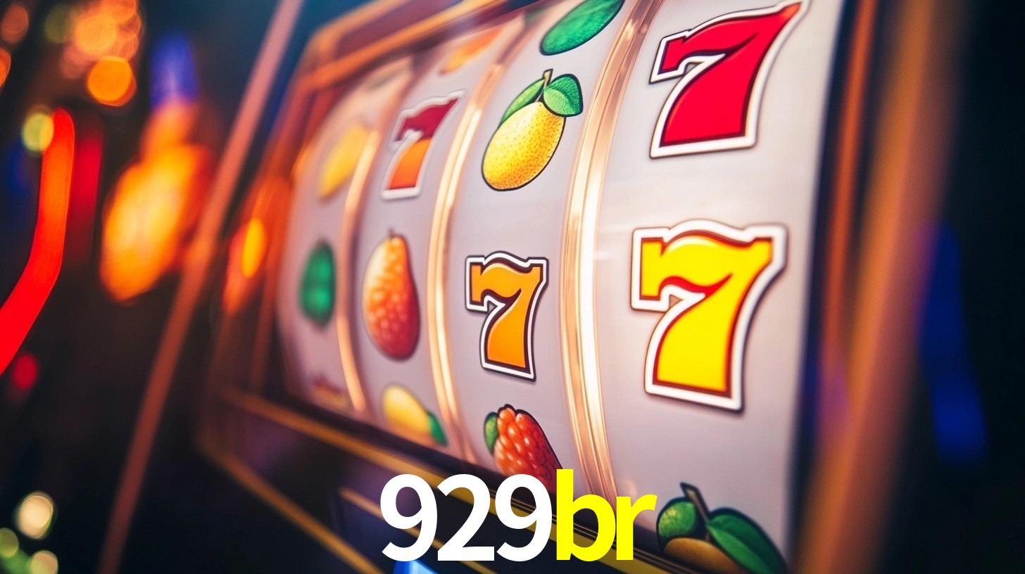 929br App Interface
