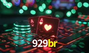 Experiência VIP 929br